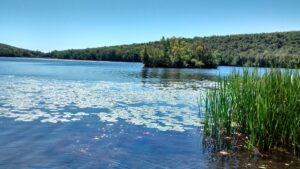 Big Boulder Lake on a sunny day, the view from Boulder View Tavern in Lake Harmony