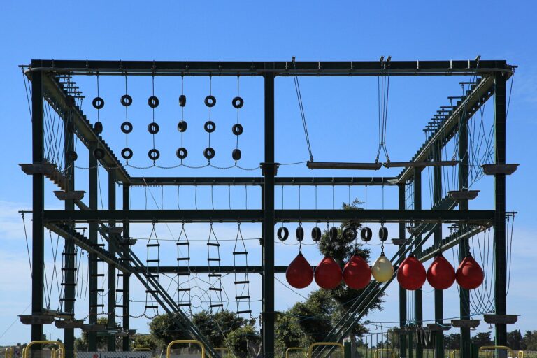 A high ropes course with platforms and rope bridges