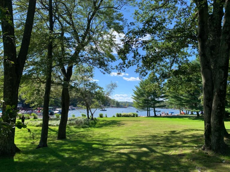 Lake Harmony and the surrounding tree line on a summer day