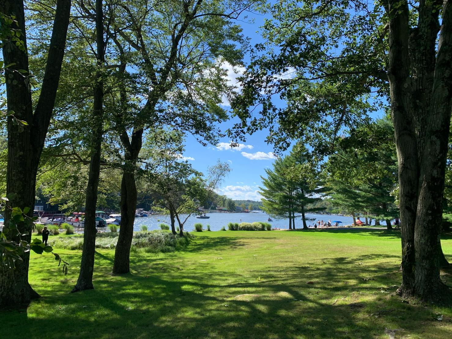 Lake Harmony and the surrounding tree line on a summer day