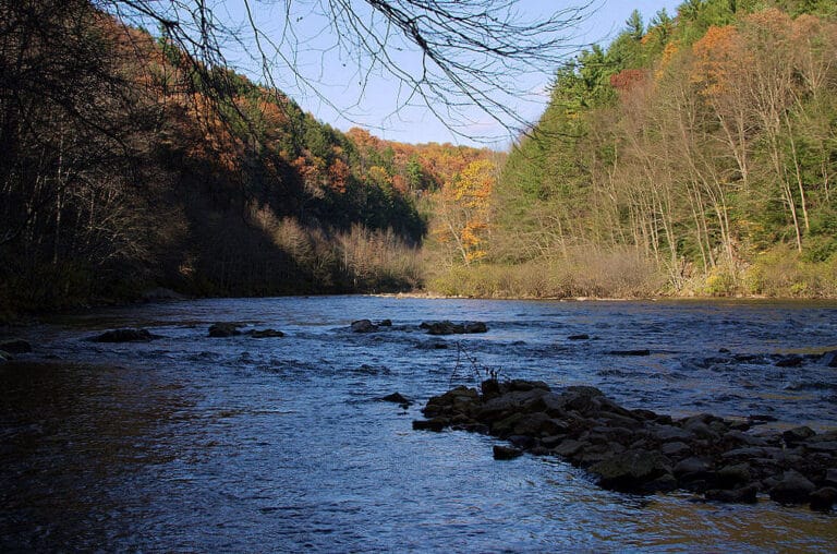 The rail trail at the Rockport access in Lehigh Gorge State Park