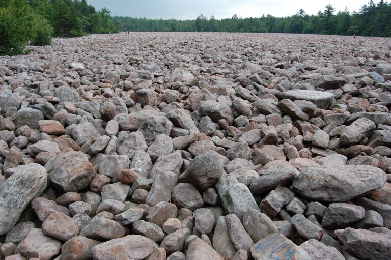 Hickory Run Boulder Field, one of the top things to do in Lake Harmony, Pennsylvania