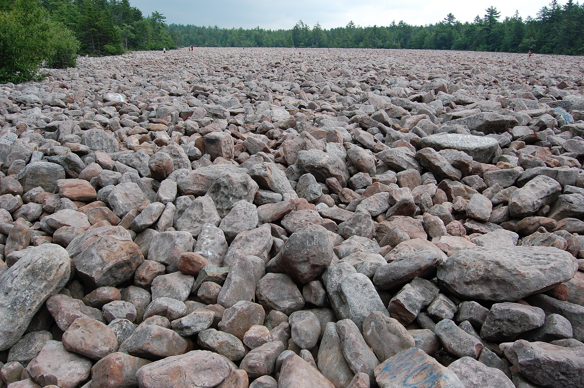 Hickory Run Boulder Field, one of the top things to do in Lake Harmony, Pennsylvania